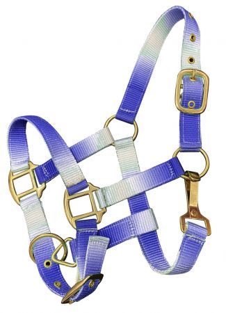 Showman Premium nylon Pony sized ombre halter with nickel plated hardware #2
